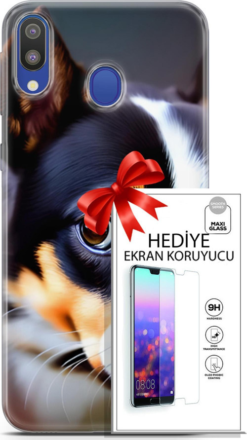 Samsung Galaxy M20 Kılıf Orijinal Seri Dogs 11 İsviçre Bernese 4K Baskılı Kılıf + Ekran Koruyucu Ful