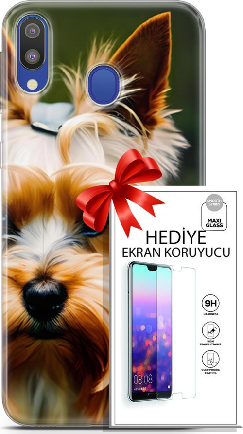 Samsung Galaxy M20 Kılıf Orijinal Seri Dogs 13 Yorkshire Terriyer Case Kapak Ekran Koruyucu