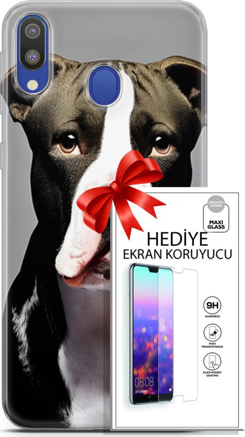 Samsung Galaxy M20 Kılıf Orijinal Seri Dogs 24 American Pitbull Darbe Emici Kılıf + Ekran Koruyucu