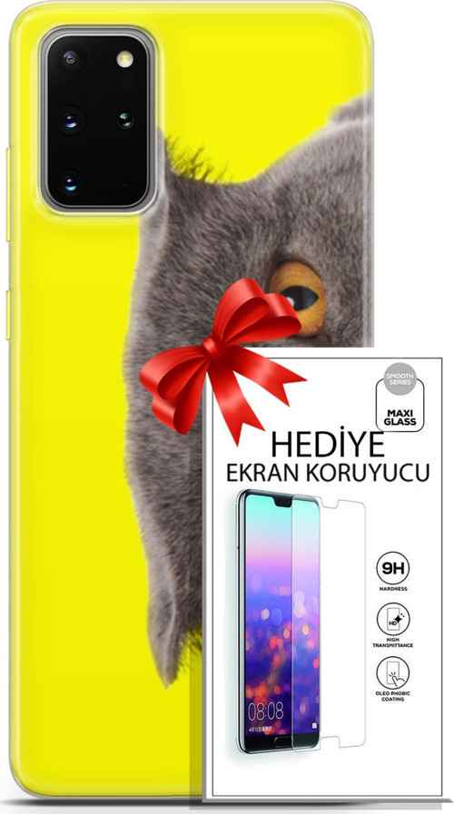Samsung Galaxy S20 Plus Kılıf Orijinal Seri Scotish-British 01 Scottish Fold Telefon Kılıfı + Ekran Koruyucu