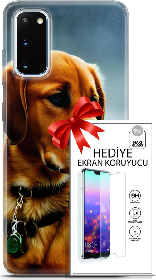 Samsung Galaxy S20 Kılıf Orijinal Seri Dogs 04 Labrador Silikon Kılıf + Ekran Koruyucu Full Koruma