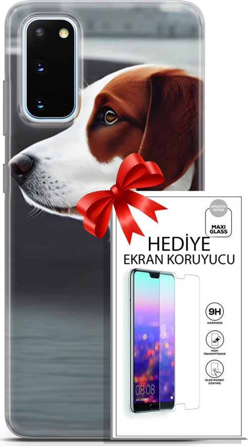 Samsung Galaxy S20 Kılıf Orijinal Seri Dogs 18 Süvari Köpeği Parlak Kılıf + Ekran Koruyucu Full Koruma