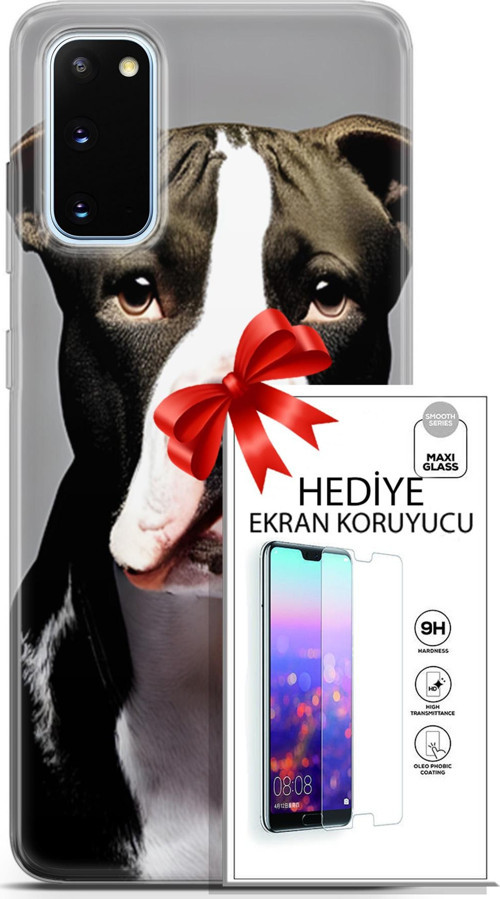 Samsung Galaxy S20 Kılıf Orijinal Seri Dogs 24 American Pitbull Darbe Emici Kılıf + Ekran Koruyucu
