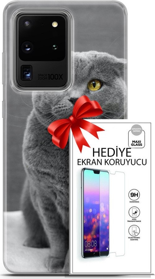 Samsung Galaxy S20 Ultra Kılıf Orijinal Seri Scotish-British 17 Scottish Duman Gri Yumuşak Kılıf + Ekran Koruyucu