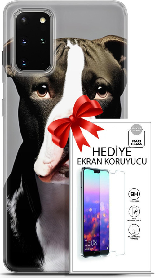 Samsung Galaxy S20 Plus Kılıf Orijinal Seri Dogs 24 American Pitbull Darbe Emici Kılıf + Ekran Koruyucu