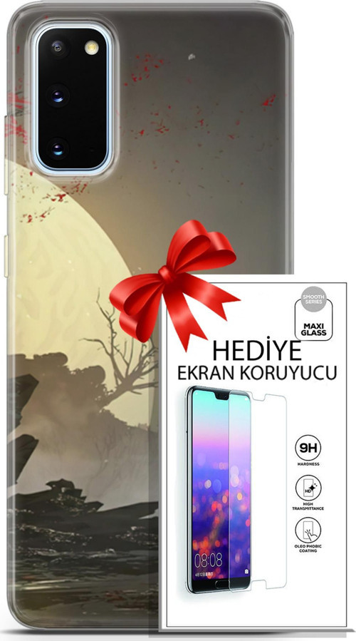Samsung Galaxy S20 Kılıf Orijinal Seri Fantasy 29 Anime Savaşçı Leke Tutmaz Kapak + Ekran Koruyucu