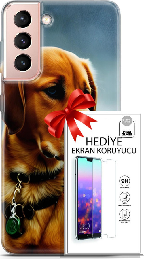 Samsung Galaxy S21 Kılıf Orijinal Seri Dogs 04 Labrador Silikon Kılıf + Ekran Koruyucu Full Koruma