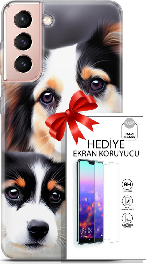 Samsung Galaxy S21 Kılıf Orijinal Seri Dogs 22 Bernese Dağ Köpeği Kap + Ekran Koruyucu