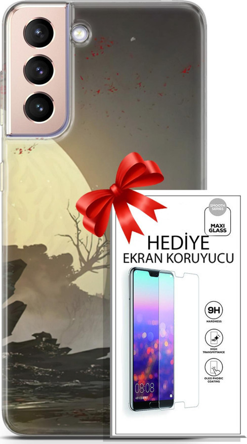 Samsung Galaxy S21 Plus Kılıf Orijinal Seri Fantasy 29 Anime Savaşçı Leke Tutmaz Kapak + Ekran Koruyucu