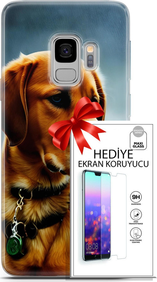 Samsung Galaxy S9 Kılıf Orijinal Seri Dogs 04 Labrador Silikon Kılıf + Ekran Koruyucu Full Koruma