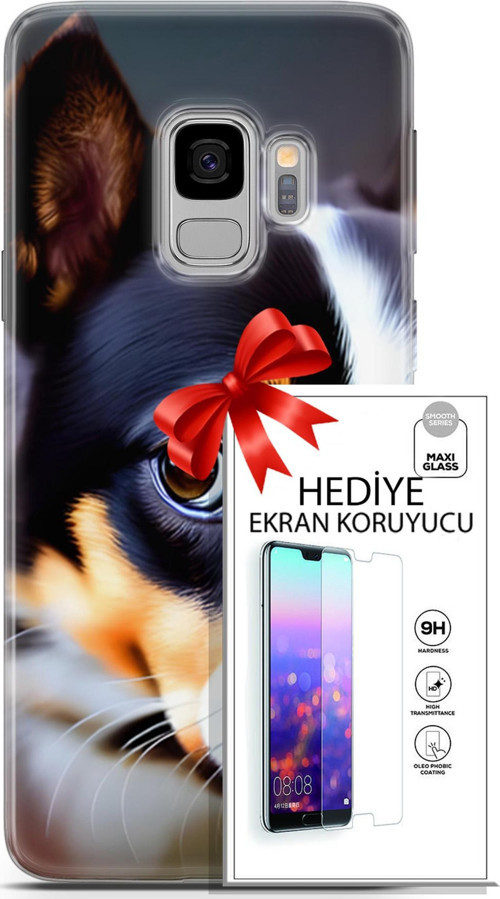 Samsung Galaxy S9 Kılıf Orijinal Seri Dogs 11 İsviçre Bernese 4K Baskılı Kılıf + Ekran Koruyucu Full