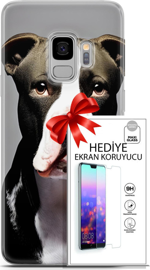 Samsung Galaxy S9 Kılıf Orijinal Seri Dogs 24 American Pitbull Darbe Emici Kılıf + Ekran Koruyucu
