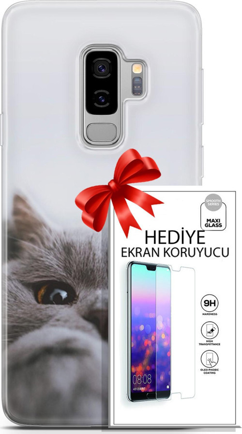 Samsung Galaxy S9 Plus Kılıf Orijinal Seri Scotish-British 08 Sevimli Kedi Baskılı Kılıf + Ekran Koruyucu