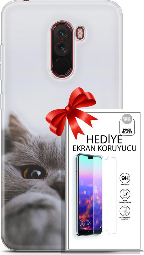 Xiaomi Pocophone F1 Kılıf Orijinal Seri Scotish-British 08 Sevimli Kedi Baskılı Kılıf + Ekran Koruyucu
