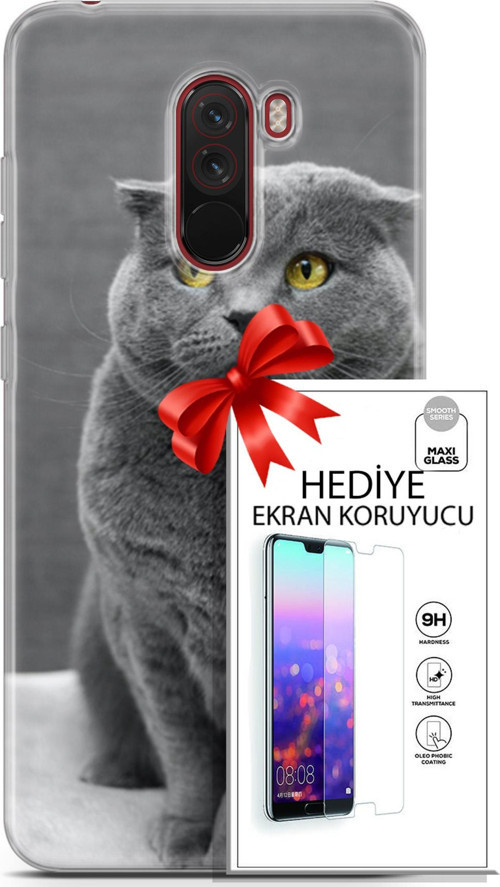 Xiaomi Pocophone F1 Kılıf Orijinal Seri Scotish-British 17 Scottish Duman Gri Yumuşak Kılıf + Ekran Koruyucu
