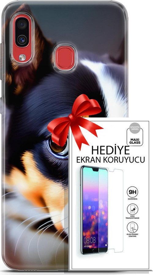 Samsung Galaxy A30 Kılıf Orijinal Seri Dogs 11 İsviçre Bernese 4K Baskılı Kılıf + Ekran Koruyucu Ful