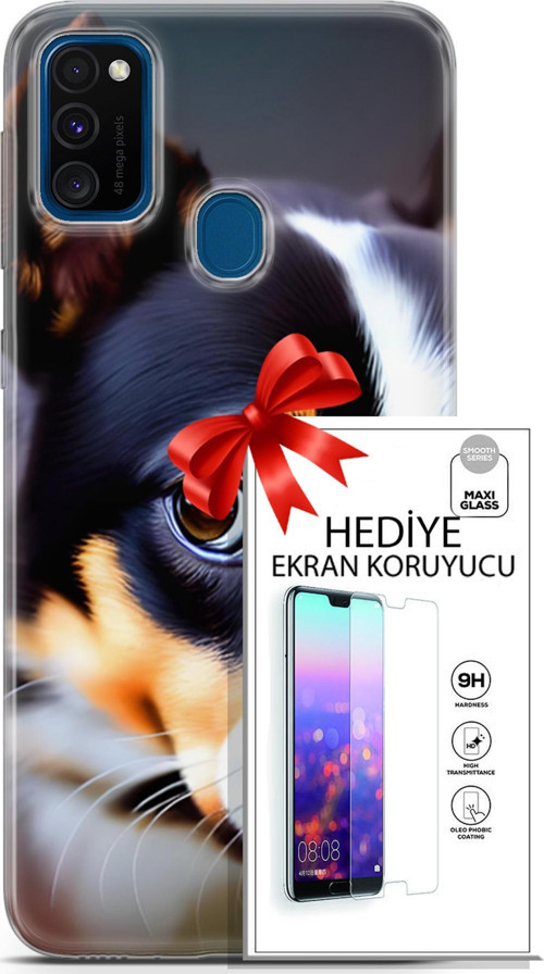 Samsung Galaxy M30S Kılıf Orijinal Seri Dogs 11 İsviçre Bernese 4K Baskılı Kılıf + Ekran Koruyucu Fu