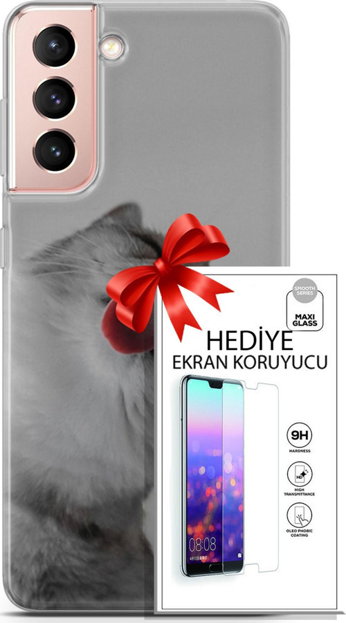 Samsung Galaxy S21 Kılıf Orijinal Seri Scotish-British 07 British Shorthair Desenli Kılıf + Ön Ekran Koruyucu
