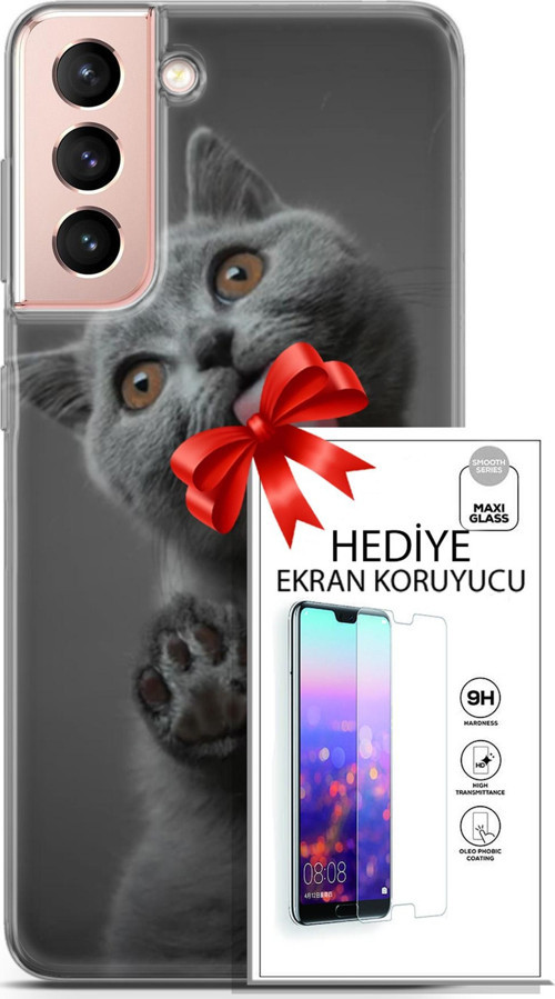 Samsung Galaxy S21 Kılıf Orijinal Seri Scotish-British 09 Yavru Kedi Uv Kılıf Ve Ekran Koruyucu