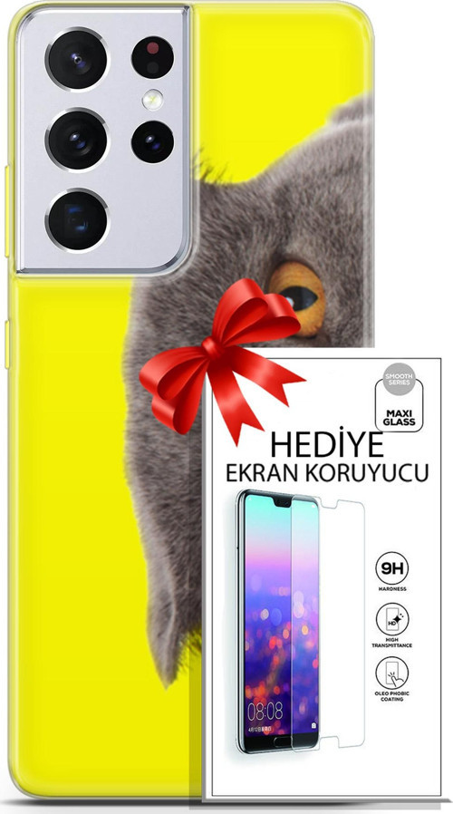 Samsung Galaxy S21 Ultra Kılıf Orijinal Seri Scotish-British 01 Scottish Fold Telefon Kılıfı + Ekran Koruyucu