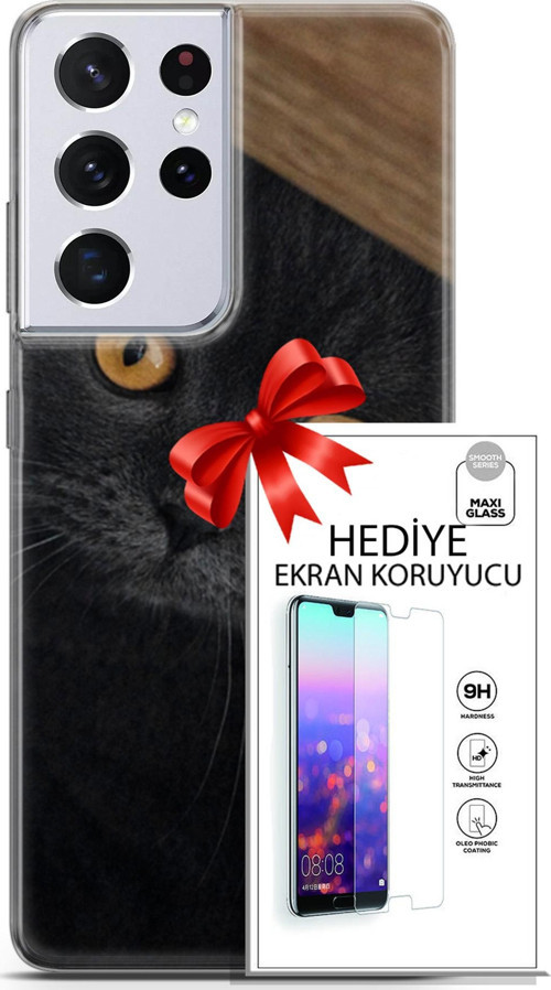 Samsung Galaxy S21 Ultra Kılıf Orijinal Seri Scotish-British 03 Sarı Gözler Arka Kapak + Ekran Koruyucu