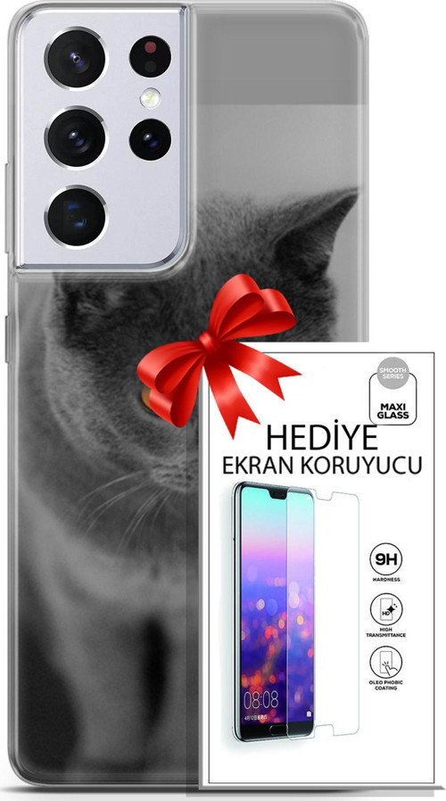 Samsung Galaxy S21 Ultra Kılıf Orijinal Seri Scotish-British 04 Turuncu Göz Silikon Kılıf + Ekran Koruyucu