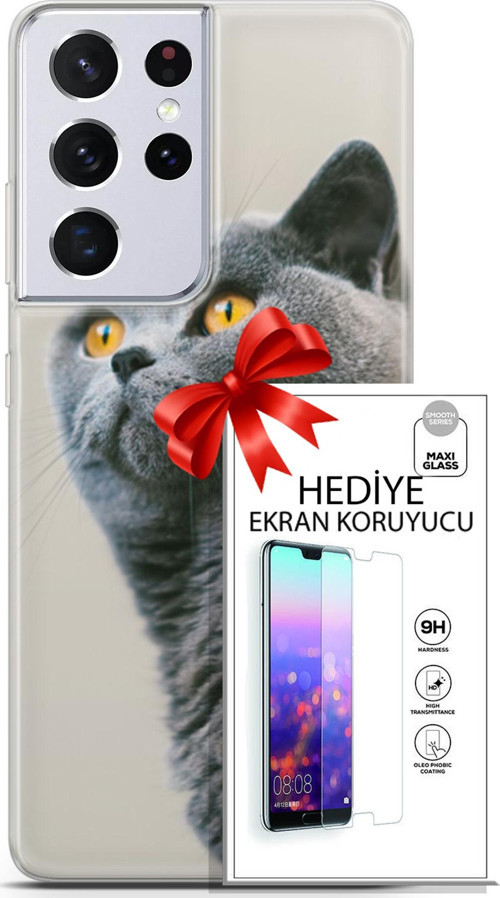 Samsung Galaxy S21 Ultra Kılıf Orijinal Seri Scotish-British 05 Gri Scottish Koruma Kılıfı + Ekran Koruyucu