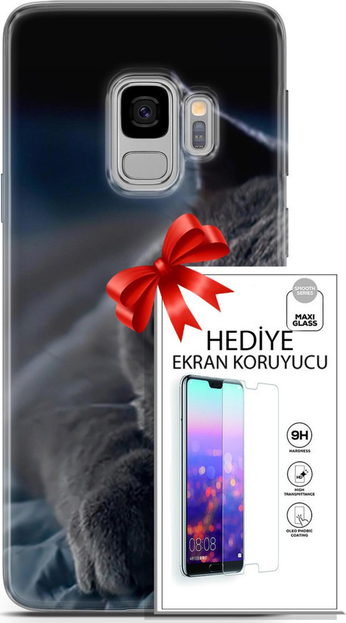 Samsung Galaxy S9 Kılıf Orijinal Seri Scotish-British 20 Yatan Kedi Renkli Kılıf Ekran Koruyucu