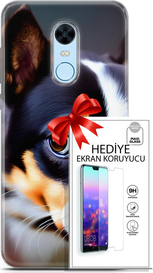 Xiaomi Redmi 5 Plus Kılıf Orijinal Seri Dogs 11 İsviçre Bernese 4K Baskılı Kılıf + Ekran Koruyucu Fu