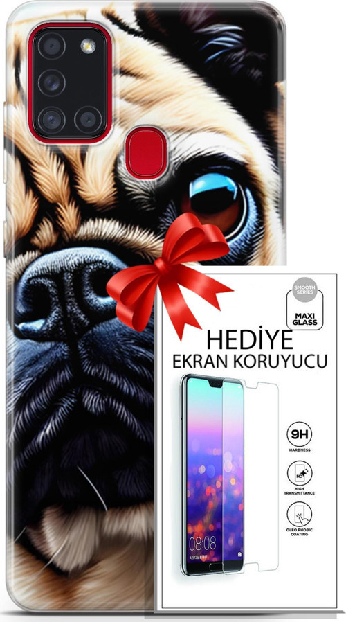 Samsung Galaxy A21S Kılıf Orijinal Seri Dogs 08 Pug Baskılı Kılıf + Ekran Koruyucu