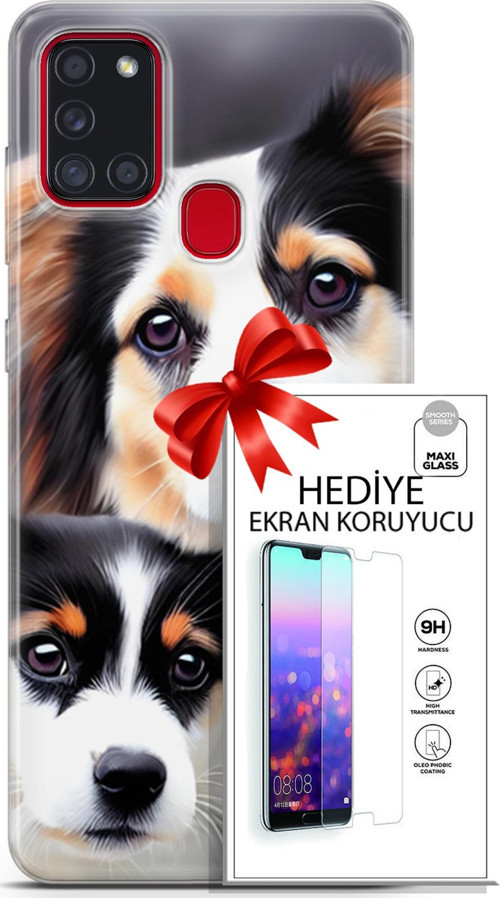 Samsung Galaxy A21S Kılıf Orijinal Seri Dogs 22 Bernese Dağ Köpeği Kap + Ekran Koruyucu