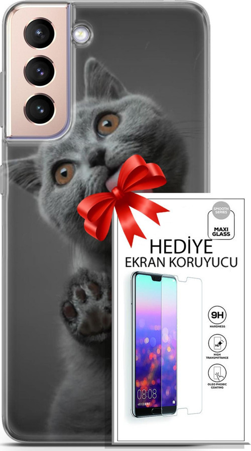 Samsung Galaxy S21 Plus Kılıf Orijinal Seri Scotish-British 09 Yavru Kedi Uv Kılıf Ve Ekran Koruyucu