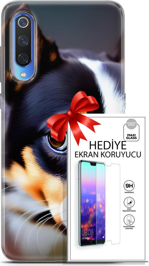 Xiaomi Mi 9 Kılıf Orijinal Seri Dogs 11 İsviçre Bernese 4K Baskılı Kılıf + Ekran Koruyucu Full Koruma