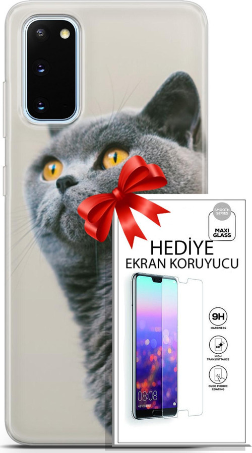 Samsung Galaxy S20 Kılıf Orijinal Seri Scotish-British 05 Gri Scottish Koruma Kılıfı + Ekran Koruyucu