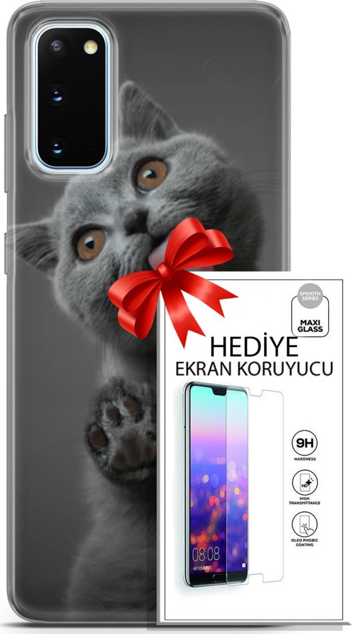 Samsung Galaxy S20 Kılıf Orijinal Seri Scotish-British 09 Yavru Kedi Uv Kılıf Ve Ekran Koruyucu