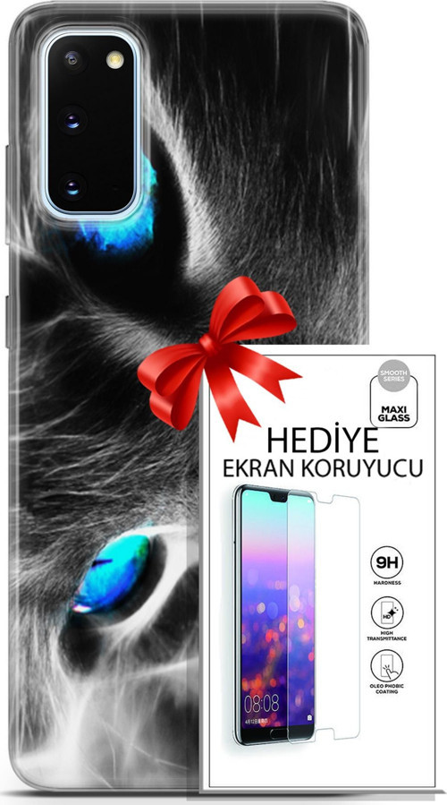 Samsung Galaxy S20 Kılıf Orijinal Seri Scotish-British 26 Amerikan Kedisi Soft Kapak + Ekran Koruyucu