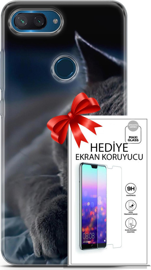Xiaomi Mi 8 Lite Kılıf Orijinal Seri Scotish-British 20 Yatan Kedi Renkli Kılıf Ekran Koruyucu