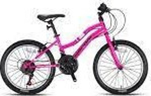 Swan Lady 26 Jant Mtb - 15' - 21 Vites - V.B. - Parlak Pembe-Açık Pembe/Eflatun
