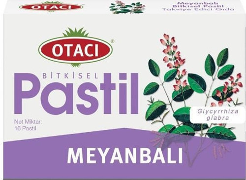 Meyanbalı Pastil 16lı