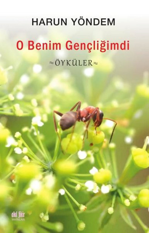 O Benim Gençliğimdi - Öyküler