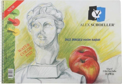 Resim Defteri 35x50 120 Gr 25 Sayfa Şeffaf Spiralli Kapak Alx-0823