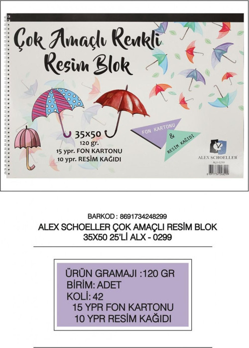 Resim Defteri Spiralli Çok Amaçlı 15 Yaprak 35x50 120 Gr ALX-0299