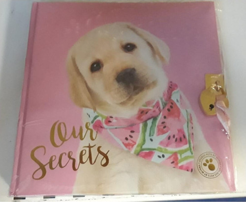 Kilitli Hatıra Defteri Studio Pets Pt-7790 (Karışık Renk 1 Adet)