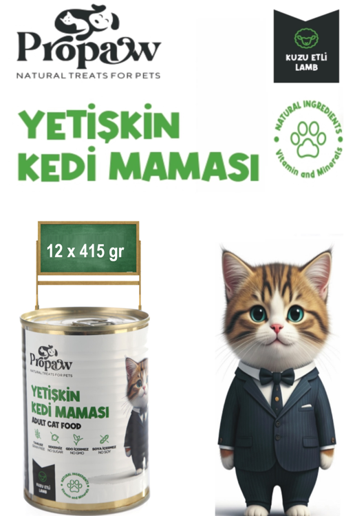 Kedi Yaş Mama Kuzu Konserve Jöleli Premium Parça Etli Yemek Besleyici Tahılsız İçerik 12 x 415 gr