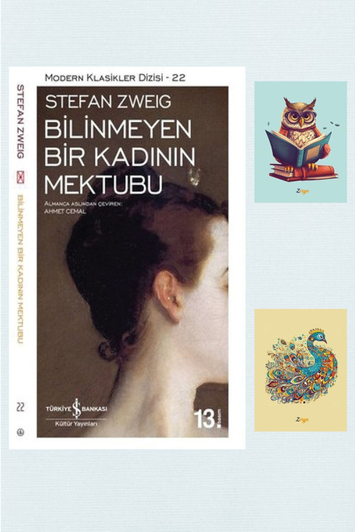 Dara Yayınları Bilinmeyen Bir Kadının Mektubu - Stefan Zweig 9786254290350 (2 Not Defterli)